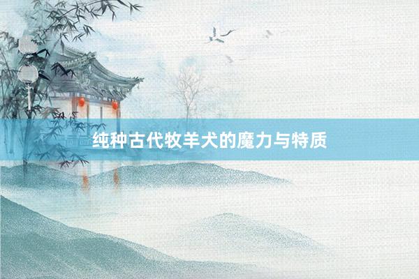 纯种古代牧羊犬的魔力与特质