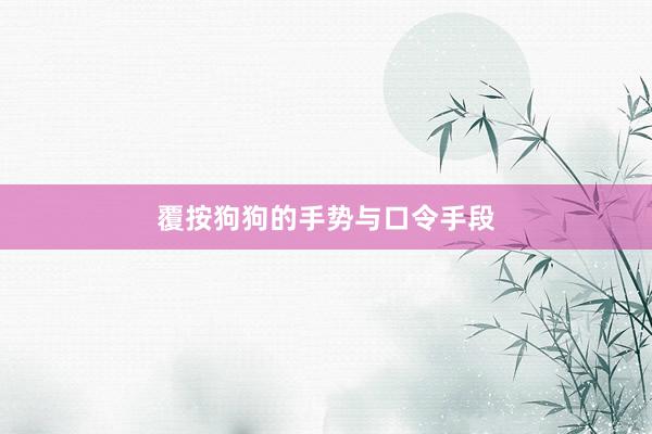 覆按狗狗的手势与口令手段