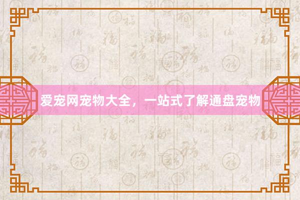 爱宠网宠物大全,一站式了解通盘宠物